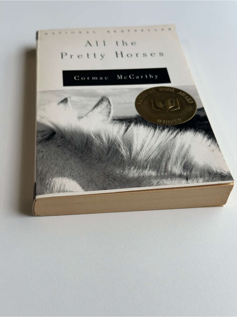 All the Pretty Horses by Cormac McCarthy | Fiction, Western | Paperback Book - Picture 3 of 7